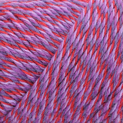 Brown Sheep Wildfoote Luxury Sock - Paradise Fibers