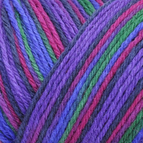 Brown Sheep Wildfoote Luxury Sock - Paradise Fibers