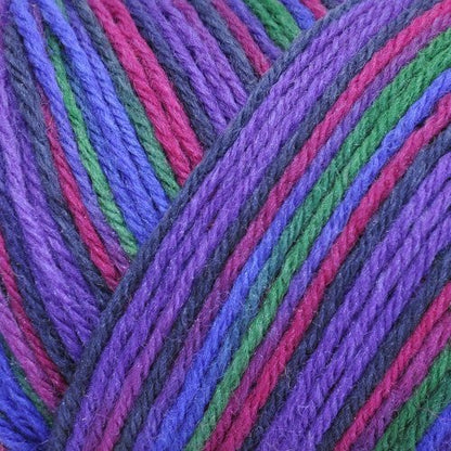 Brown Sheep Wildfoote Luxury Sock - Paradise Fibers