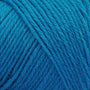 Blue Bird SY53