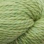 905 Celery