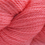 Georgia Peach 1022