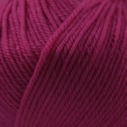 Cascade 220 Superwash - Paradise Fibers