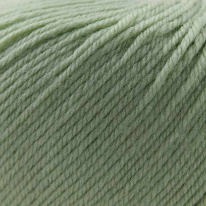 Cascade 220 Superwash - Paradise Fibers