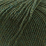 867 Lichen
