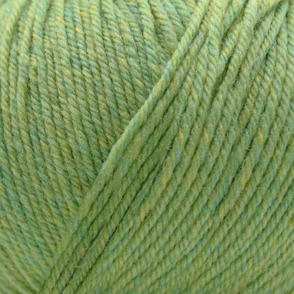 Cascade 220 Superwash - Paradise Fibers