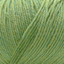 905 Celery