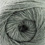 Silver 06