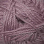 53 Mauve Orchid