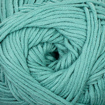 Cascade Sarasota Chunky - Paradise Fibers