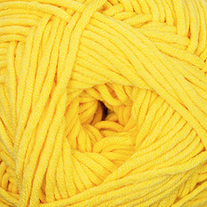 Cascade Sarasota Chunky - Paradise Fibers