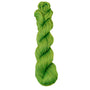 3807 Jasmine Green