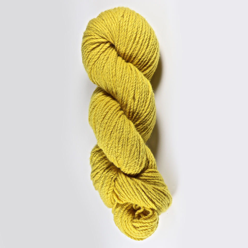 Color Goldenrod. Kettle-Dyed Skein of 100% Wool Yarn From Cestari U.S.A.