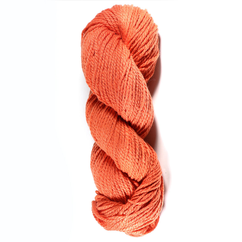 Color Hummingbird Vine. Kettle-Dyed Skein of 100% Wool Yarn From Cestari U.S.A.