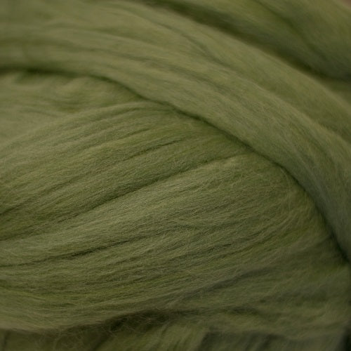 Color Garden Ivy. A light medium green shade of solid color merino wool top.