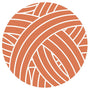 Apricot 25