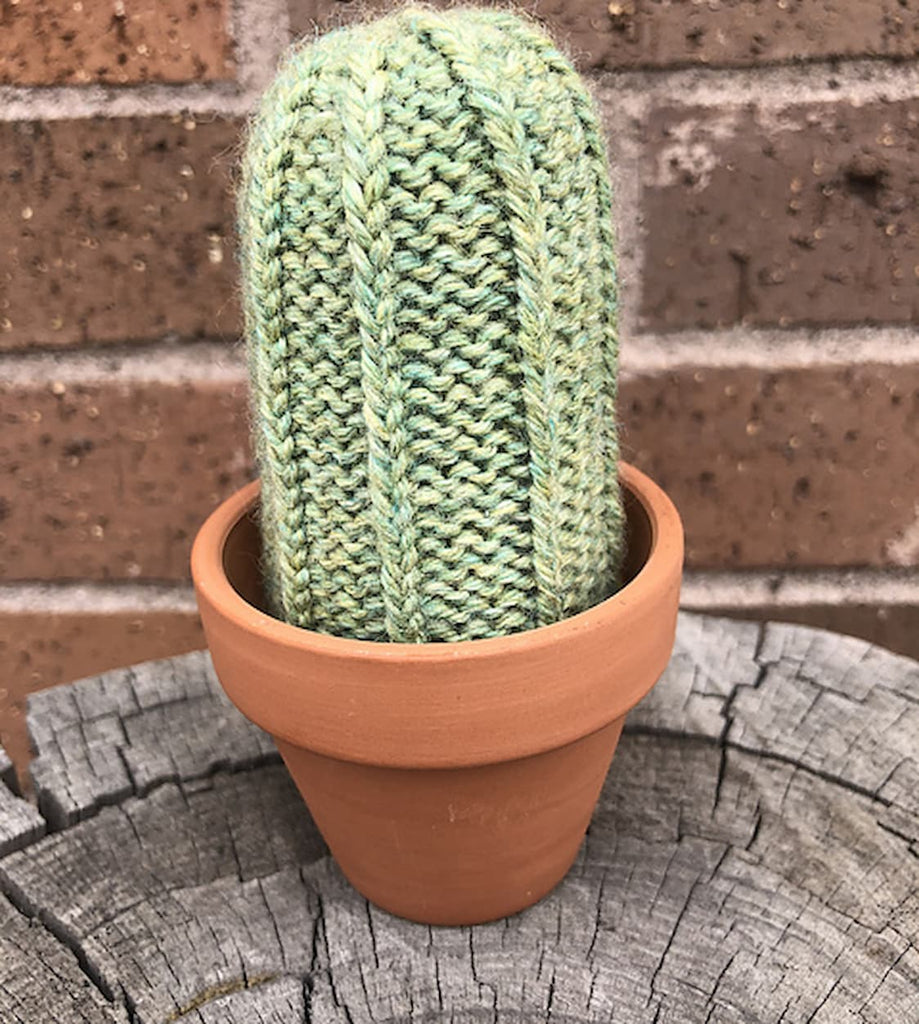 One light green, small, tall cactus in a small terracotta pot