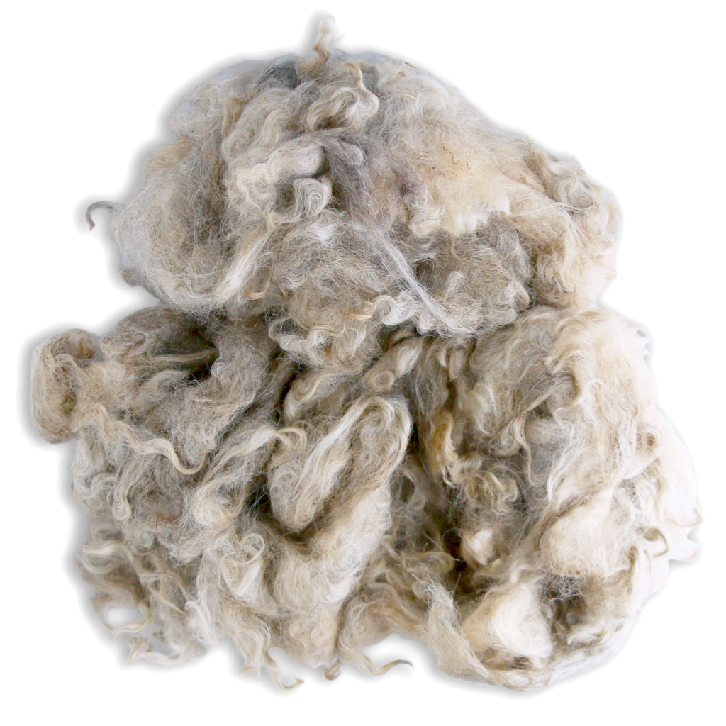 1 lb. of Freya. A Gotland sheep's raw wool fleece.