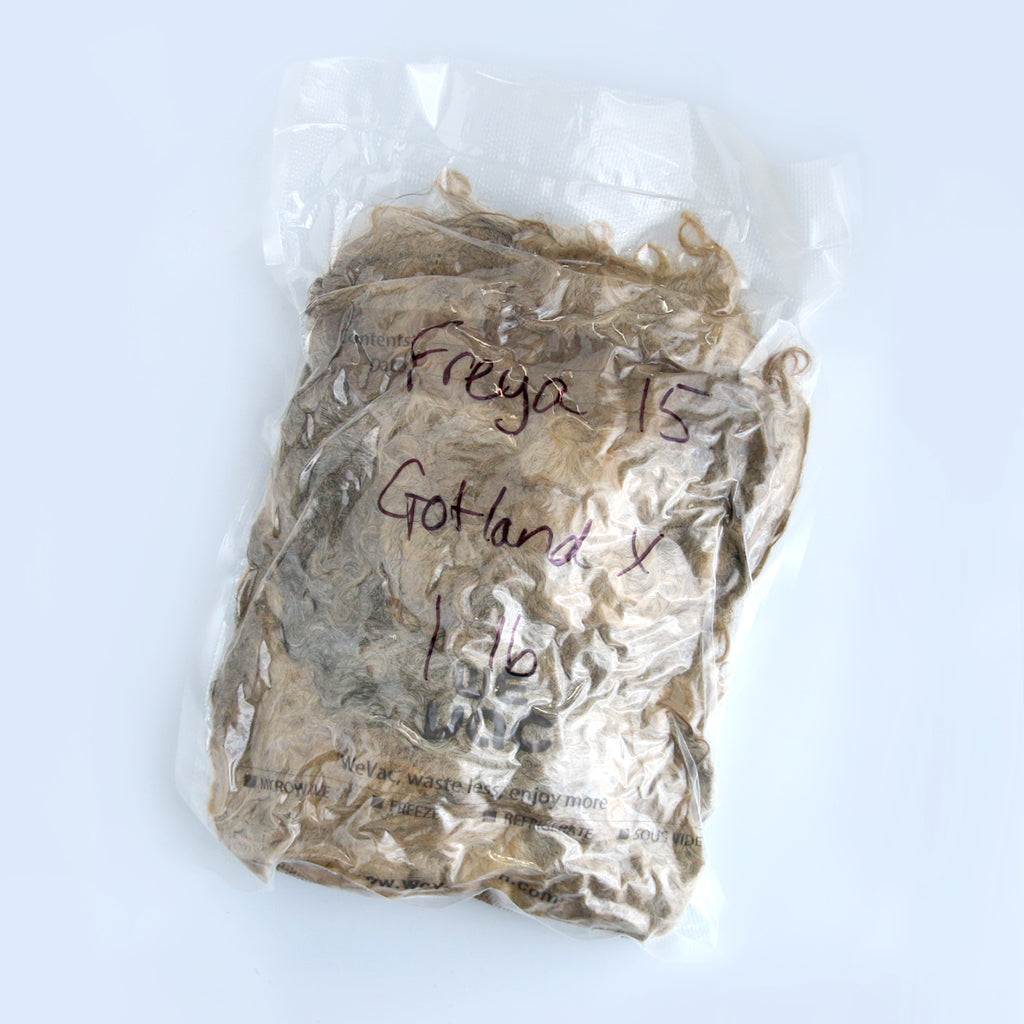 1 lb. package of Freya. A Gotland sheep's raw wool fleece.