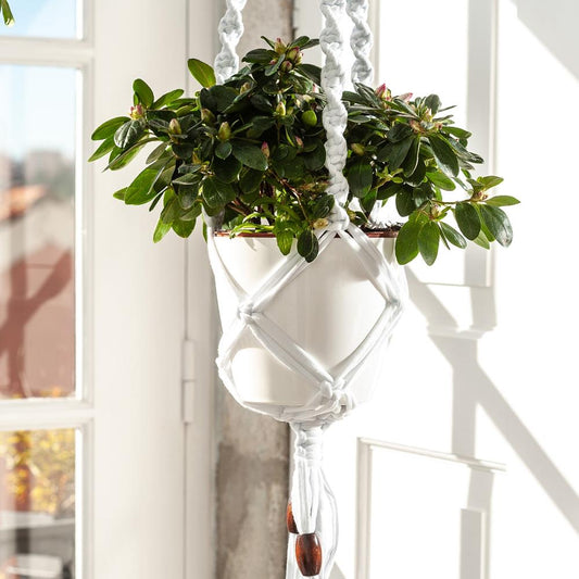 Hoooked Macramé Hanging Basket Kits - Paradise Fibers