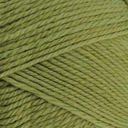 Brown Sheep Nature Spun Sport Yarn