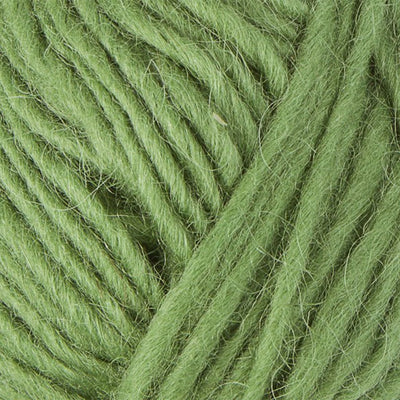 9983 Apple Green