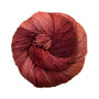 895 Dried Orange