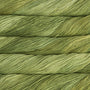 Lettuce 037