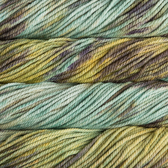 Malabrigo Chunky Yarn in Mariposa - a variegated pale green, purple and yellow colorway