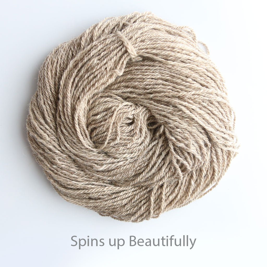 Mixed BFL and Tussah Silk Blend - Downy Downpour - Paradise Fibers