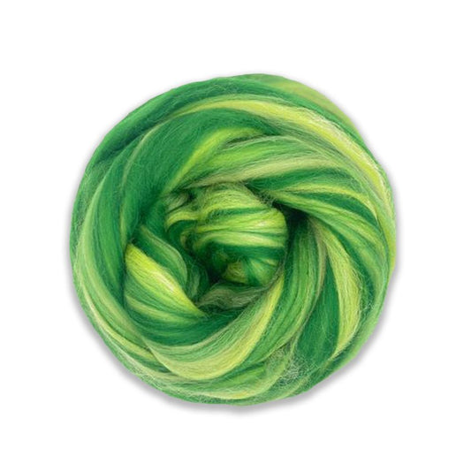 Multi Colored Merino Wool Top - Northern Lights - Paradise Fibers