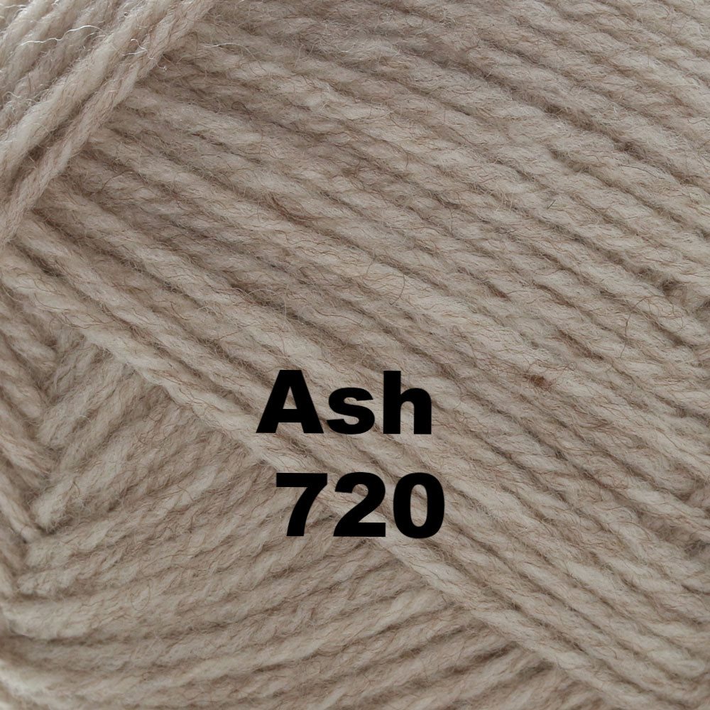 Brown Sheep Nature Spun Worsted Yarn-Yarn-Ash 720-