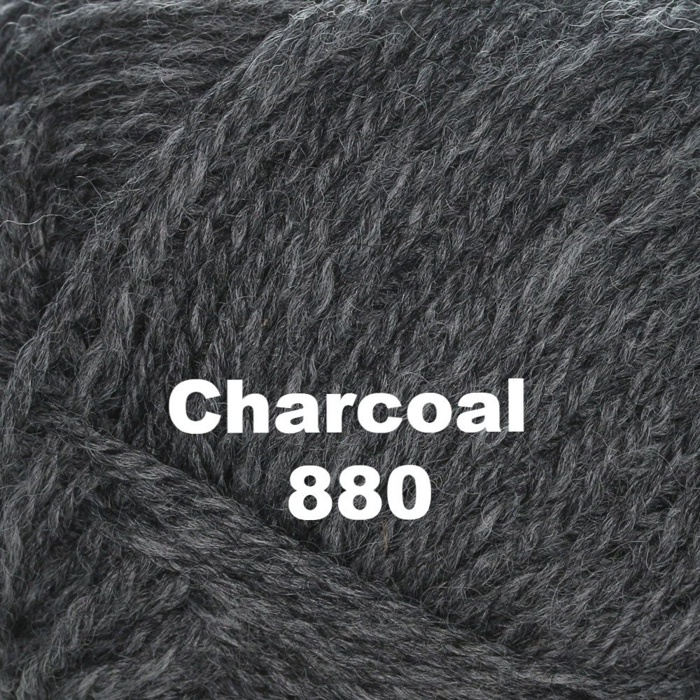 Brown Sheep Nature Spun Worsted Yarn-Yarn-Charcoal 880-