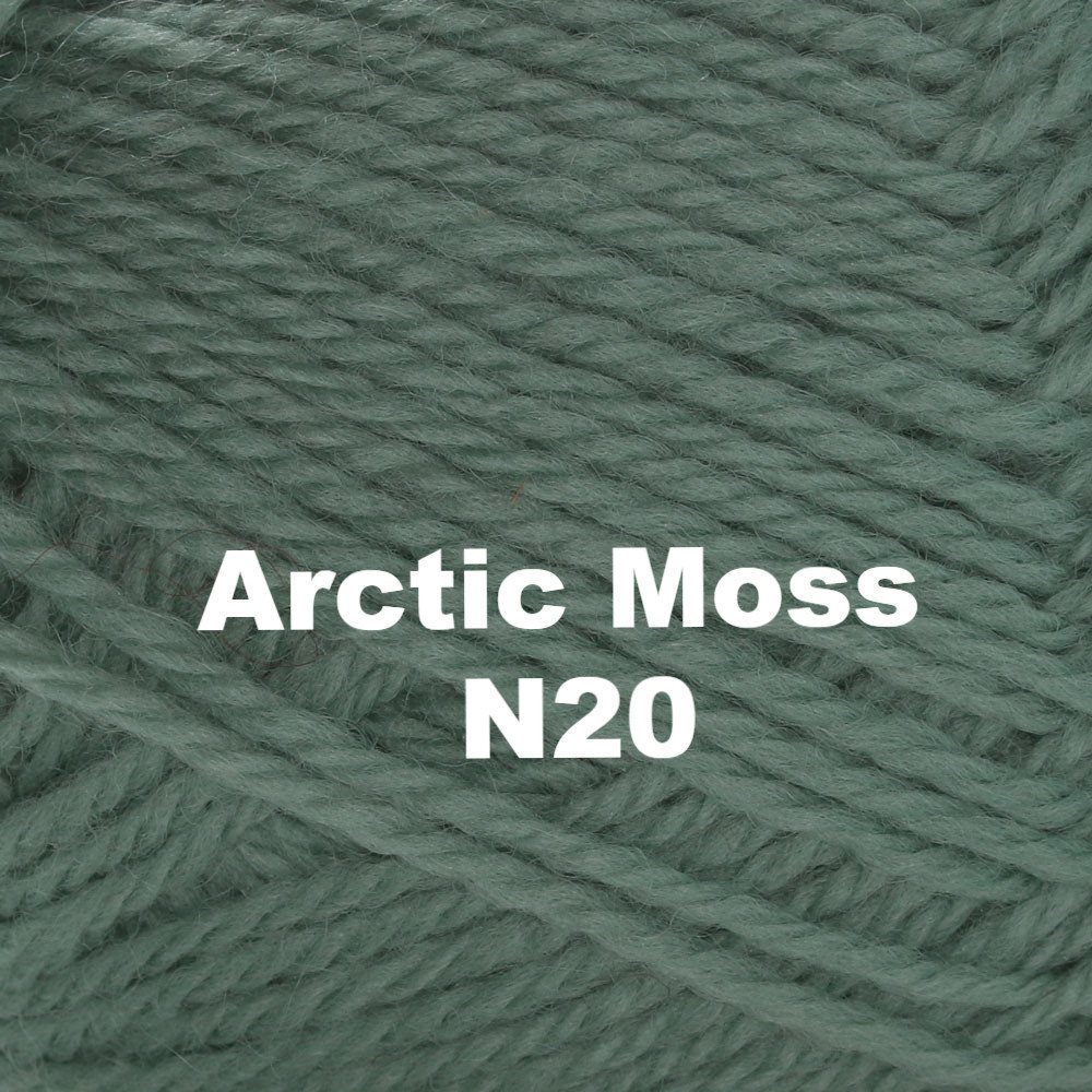 Brown Sheep Nature Spun Worsted Yarn-Yarn-Arctic Moss N20-