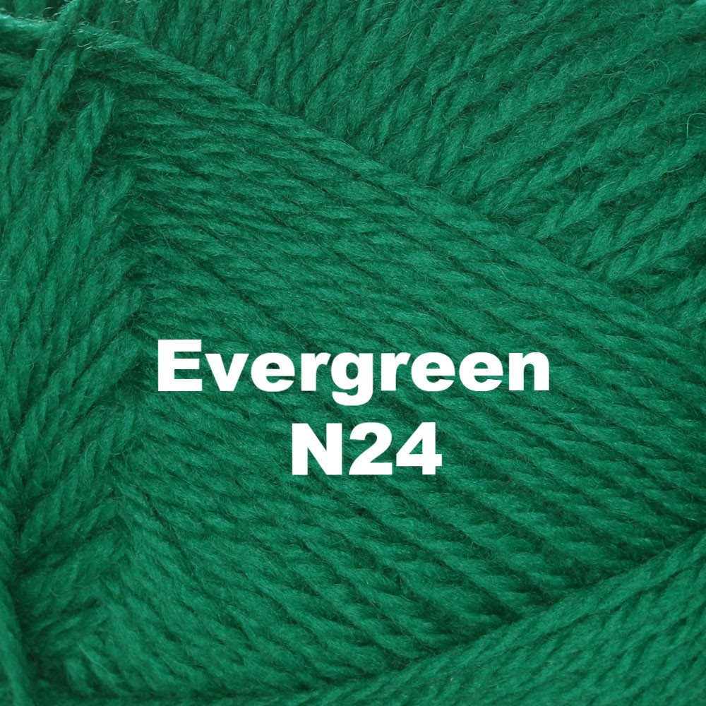 Brown Sheep Nature Spun Worsted Yarn-Yarn-Evergreen N24-