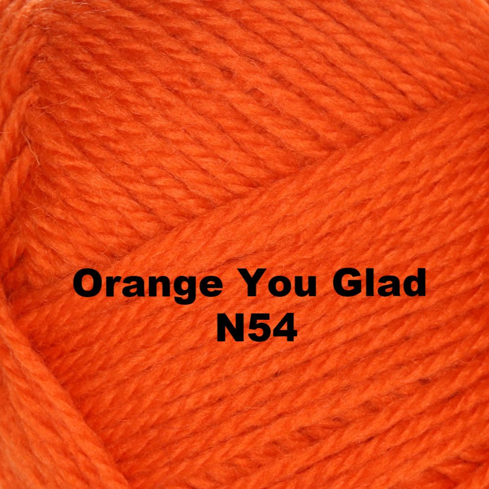 Brown Sheep Nature Spun Worsted Yarn-Yarn-Orange You Glad N54-