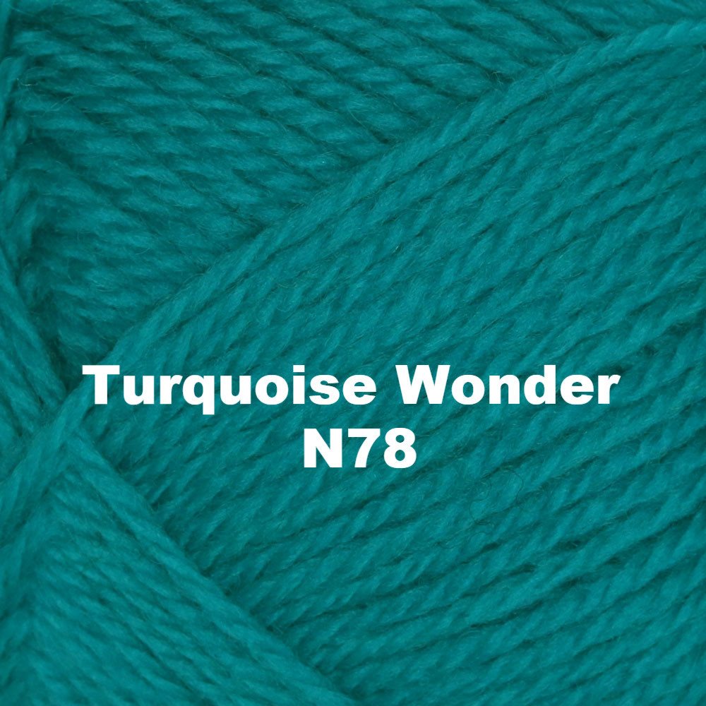Brown Sheep Nature Spun Worsted Yarn-Yarn-Turquoise Wonder N78-