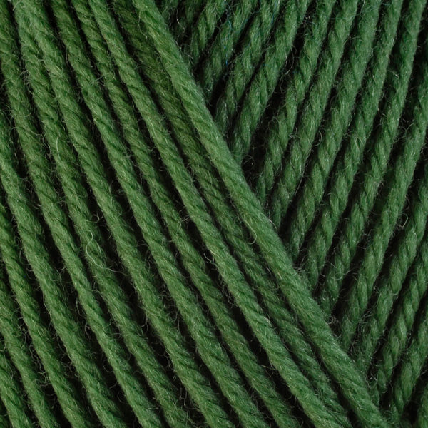 Basil 3343, a bright herb green skein of washable worsted weight Ultra Wool yarn.