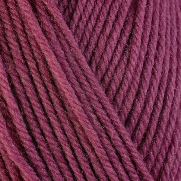 Day Lily 3321, a dusty pink skein of washable worsted weight Ultra Wool yarn.