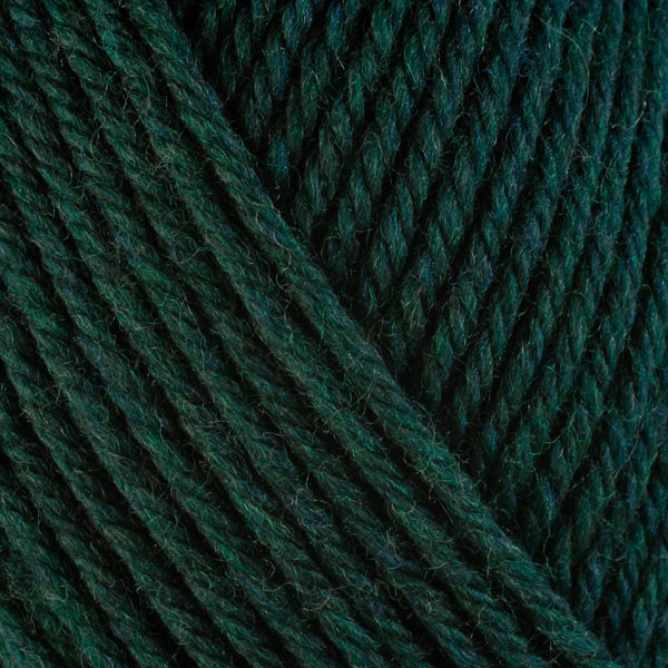 Pine 33149, a dark green skein of washable worsted weight Ultra Wool yarn.