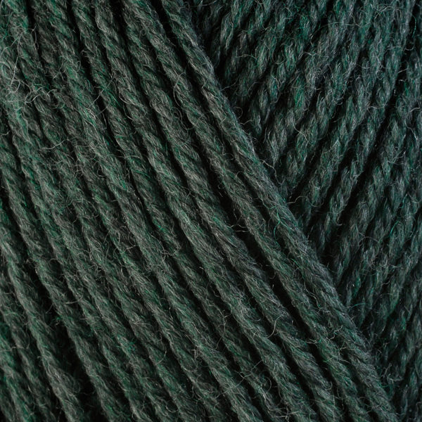 Rosemary 33158, a dark heathered grey-green skein of washable worsted weight Ultra Wool yarn.