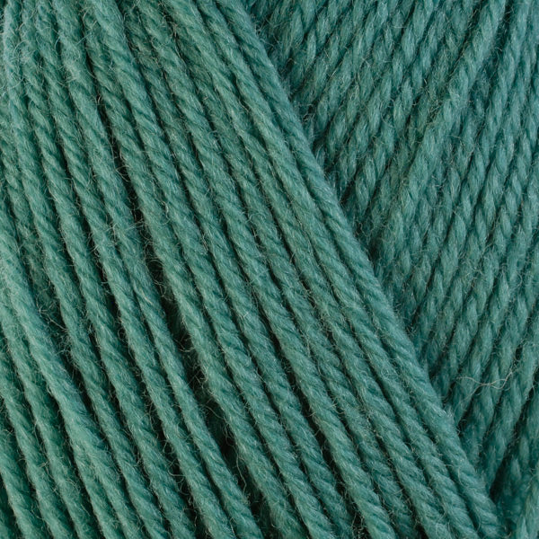 Sage 3324, a light blue-green skein of washable worsted weight Ultra Wool yarn.