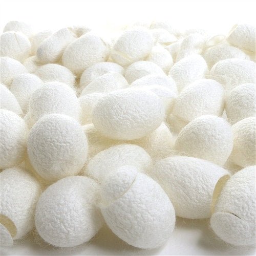 Paradise Fibers Cut Silk Cocoons (1 oz bag) - Paradise Fibers