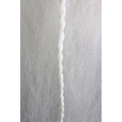 Paradise Fibers Domestic Superwash Merino Roving - Paradise Fibers