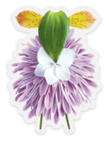 Paradise Fibers Sheep Stickers - Paradise Fibers