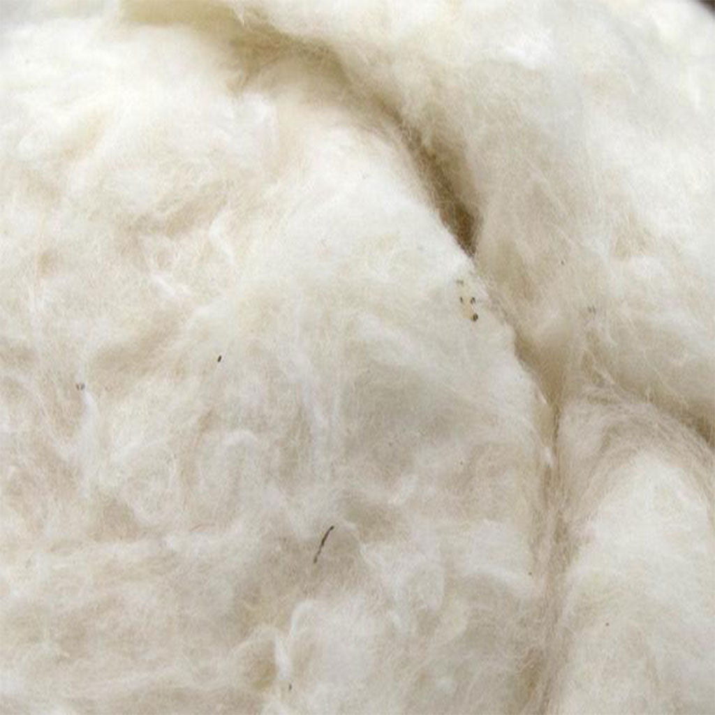 A close up look  of Undyed Raw Egyptian Cotton Fiber