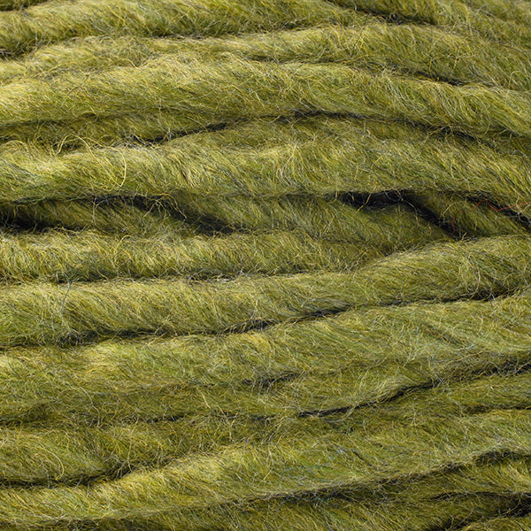 Color Arctic Poppy 6735, a green shade of Berroco Macro Jumbo yarn