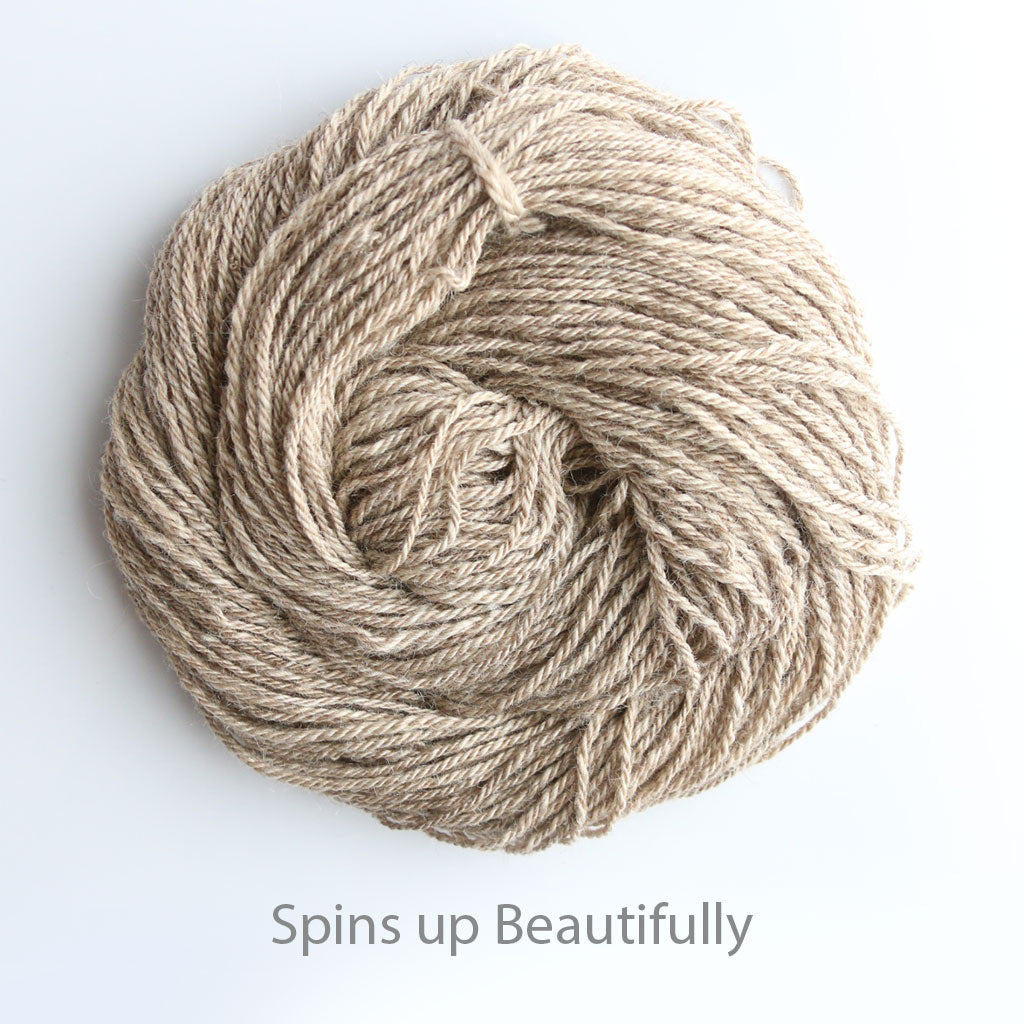 A spun skein of undyed natural beige Downy Downpour Spinning Fiber. A blend of BFL and Tussah Silk. 