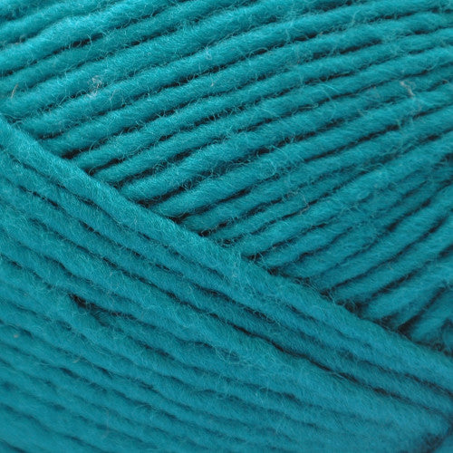 Brown Sheep Lanaloft Bulky in Coastal Mist - a turquoise colorway