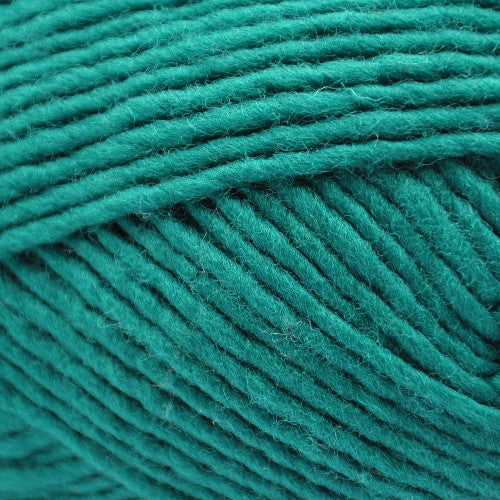 Brown Sheep Lanaloft Bulky in Lucky Shamrock - a blue-green colorway